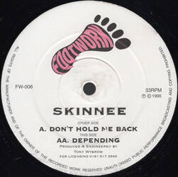 The music release of Skinnee, Don't Hold Me Back