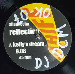 The music release of Silent Echo, Reflection
