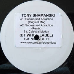 The music release of Tony Shamanski, Submersed Attraction / Celestial Motion
