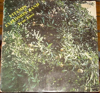 The music release of Vitamin Explosion Band, True Love