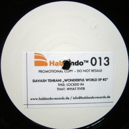 The music release of Siavash Tehrani, Wonderful World EP #2