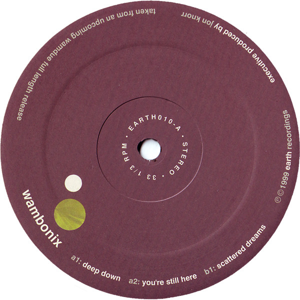 The music release of Wambonix, You're Still Here