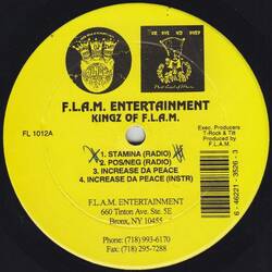 The music release of Kingz Of F.L.A.M., Stamina / Pos/Neg / Increase Da Peace